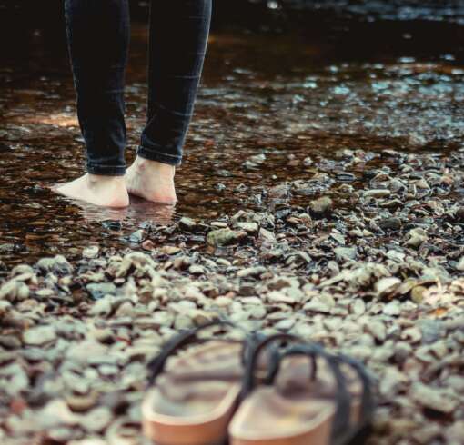 niklas-hamann-mj9c_TZvuI4-unsplash