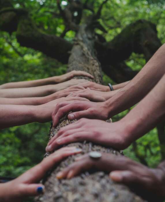 shane-rounce-DNkoNXQti3c-unsplash shane-rounce-DNkoNXQti3c-unsplash